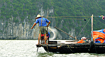 Baie d’Halong au Vietnam interdit la pêche dans le centre